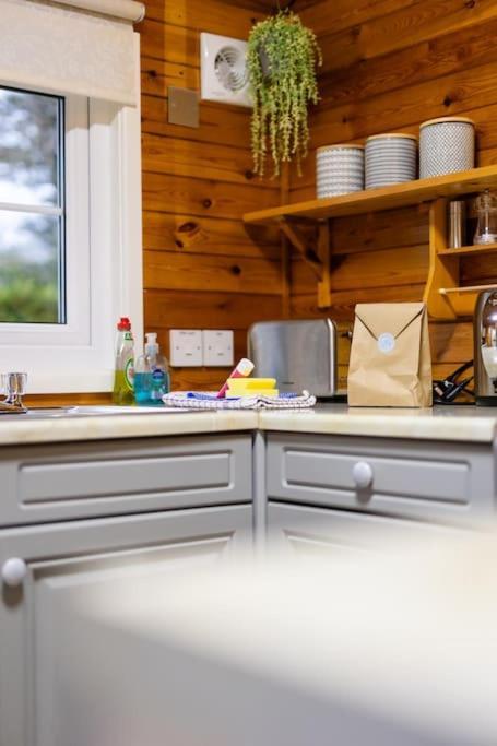 Rural Log Cabin In Snowdonia Near Coed Y Brenin By Seren Short Stays Ffestiniog Ngoại thất bức ảnh