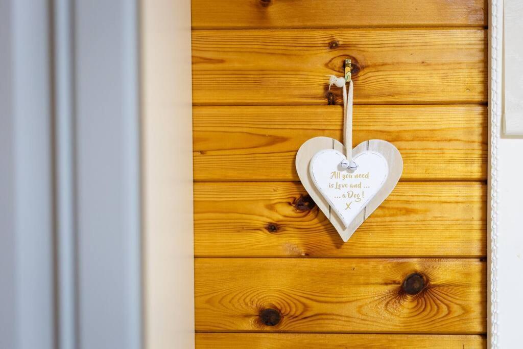 Rural Log Cabin In Snowdonia Near Coed Y Brenin By Seren Short Stays Ffestiniog Ngoại thất bức ảnh